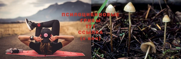 тгк Строитель
