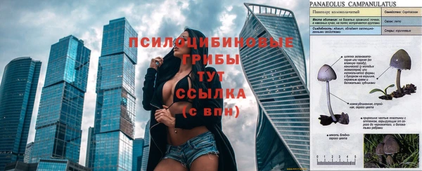 круглые Струнино